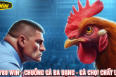 Đá Gà 789Win chuồng gà đa dạng, gà chọi chất lượng